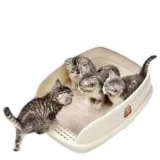 Catidea Litter Box Bread Bin Small Cream, 001623, cat Litter Pan, Catidea, cat Housing Needs, catsmart, Housing Needs, Litter Pan